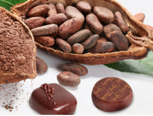 Yves Thuries Chocolats