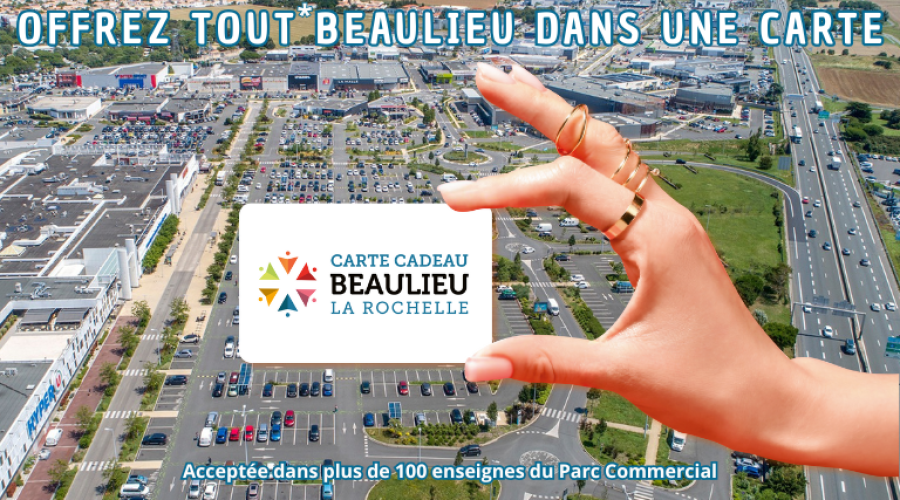 Offrez la carte cadeau valable dans 100 enseignes !